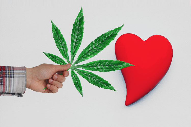 Embracing-the-Cannabis-Industry-concept for Cannabis News March 2021